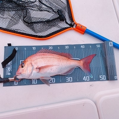 フィシングボートAir(エアー) 釣果