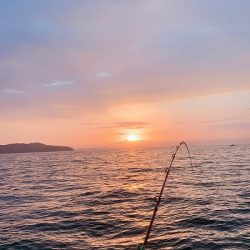 フィシングボートAir(エアー) 釣果