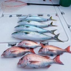 フィシングボートAir(エアー) 釣果