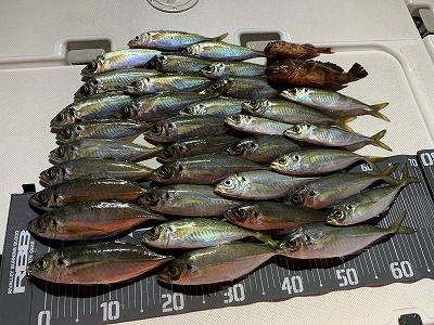 フィシングボートAir(エアー) 釣果