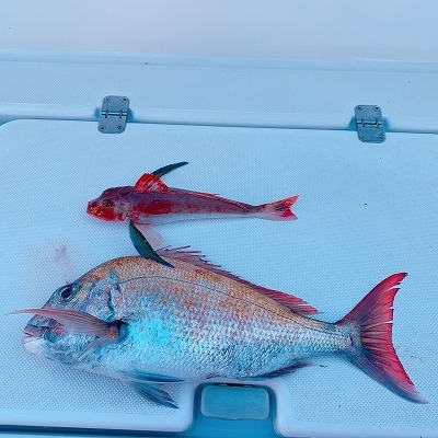 フィシングボートAir(エアー) 釣果