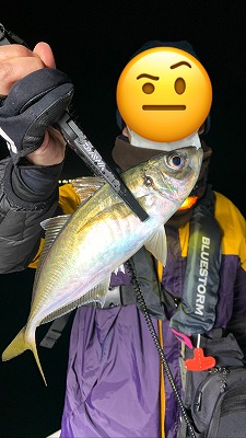 フィシングボートAir(エアー) 釣果