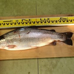 志高湖フィッシング 釣果