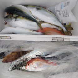 Aquanaut（アクアノート） 釣果