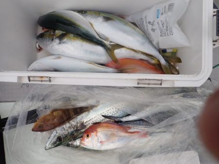 Aquanaut（アクアノート） 釣果