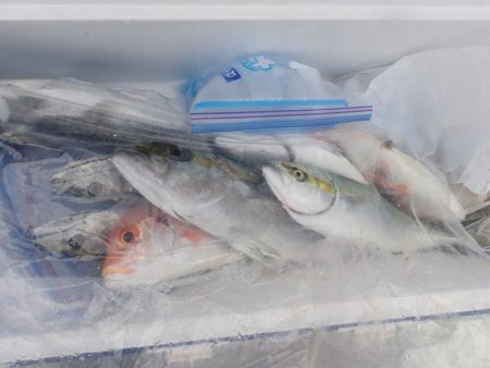 Aquanaut（アクアノート） 釣果