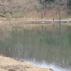 志高湖フィッシング 釣果