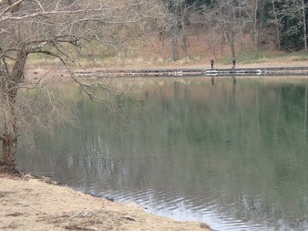 志高湖フィッシング 釣果