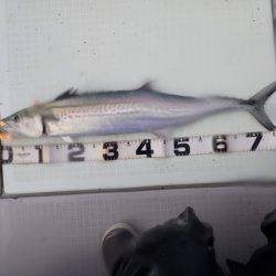 Aquanaut（アクアノート） 釣果