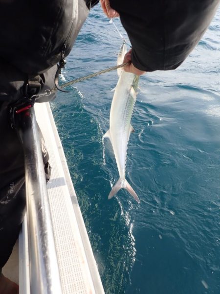 Aquanaut（アクアノート） 釣果