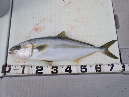 Aquanaut（アクアノート） 釣果