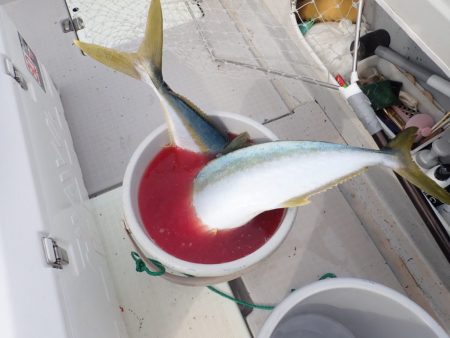 Aquanaut（アクアノート） 釣果