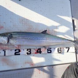 Aquanaut（アクアノート） 釣果