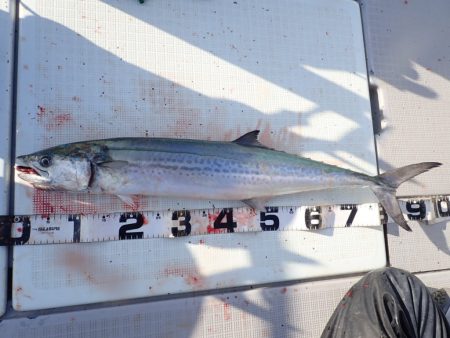 Aquanaut（アクアノート） 釣果