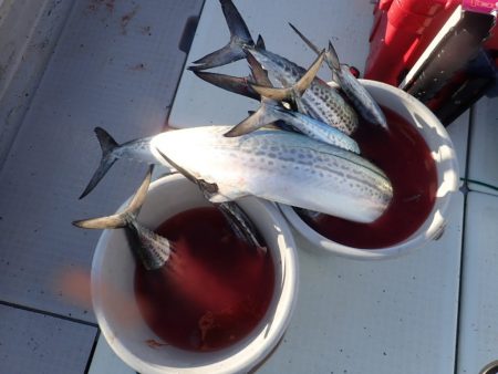 Aquanaut（アクアノート） 釣果