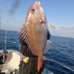 Aquanaut(アクアノート) 釣果