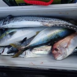 Aquanaut(アクアノート) 釣果