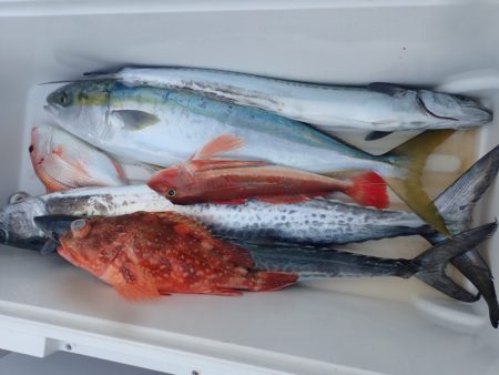 Aquanaut(アクアノート) 釣果