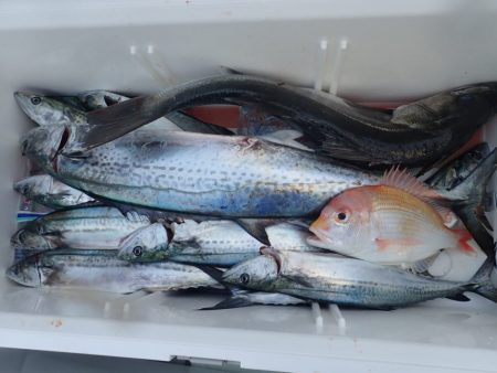 Aquanaut(アクアノート) 釣果