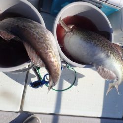 Aquanaut(アクアノート) 釣果