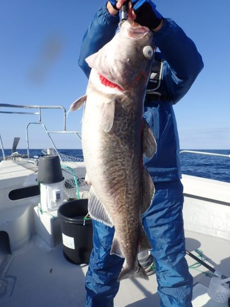 Aquanaut(アクアノート) 釣果