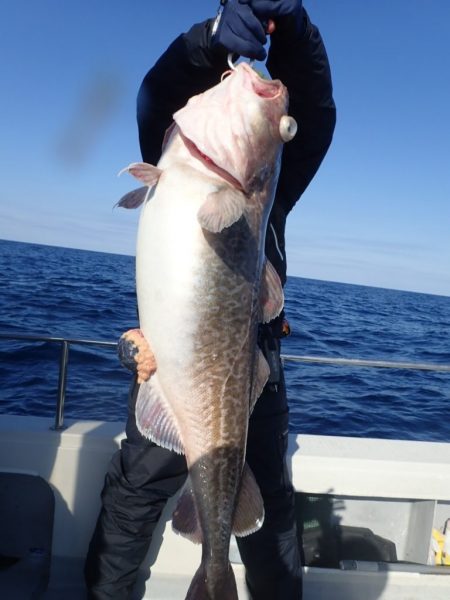 Aquanaut(アクアノート) 釣果