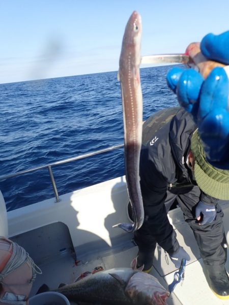 Aquanaut(アクアノート) 釣果