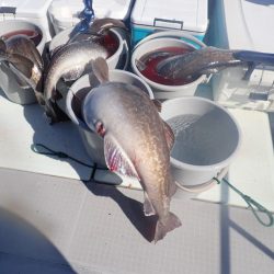 Aquanaut(アクアノート) 釣果