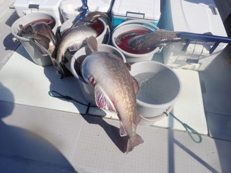 Aquanaut(アクアノート) 釣果