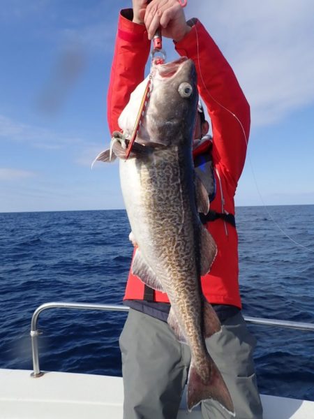 Aquanaut(アクアノート) 釣果