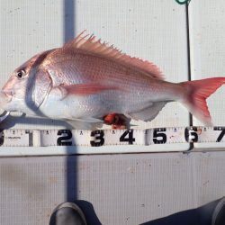 Aquanaut(アクアノート) 釣果