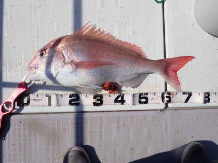 Aquanaut(アクアノート) 釣果