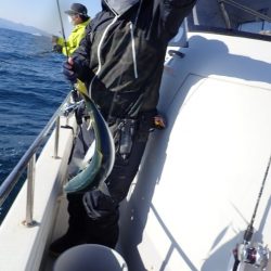 Aquanaut(アクアノート) 釣果