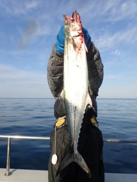 Aquanaut(アクアノート) 釣果