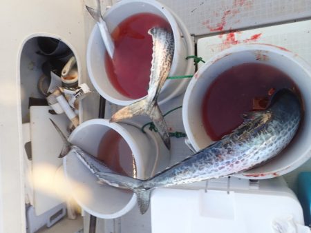 Aquanaut(アクアノート) 釣果