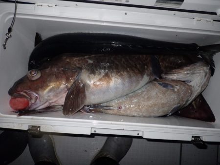 Aquanaut(アクアノート) 釣果