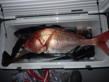 Aquanaut(アクアノート) 釣果