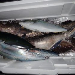 Aquanaut(アクアノート) 釣果