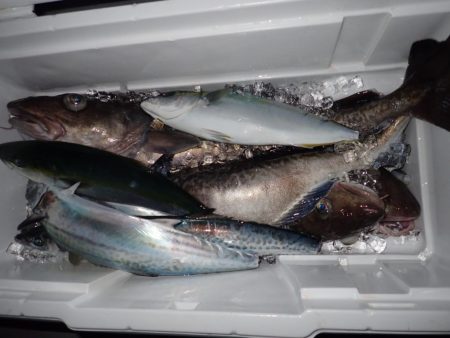 Aquanaut(アクアノート) 釣果