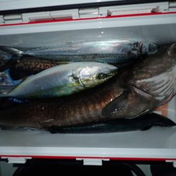 Aquanaut(アクアノート) 釣果