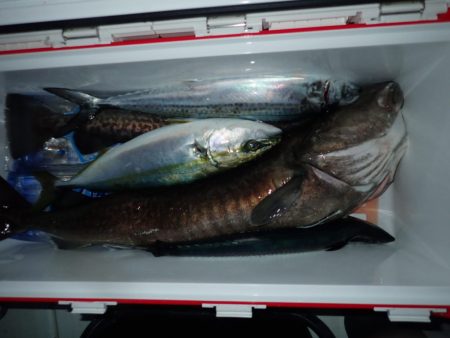 Aquanaut(アクアノート) 釣果