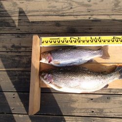 志高湖フィッシング 釣果