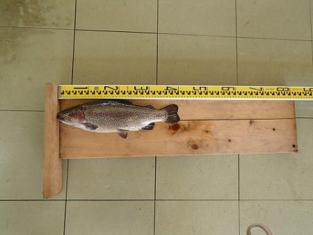 志高湖フィッシング 釣果