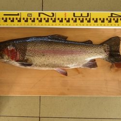 志高湖フィッシング 釣果