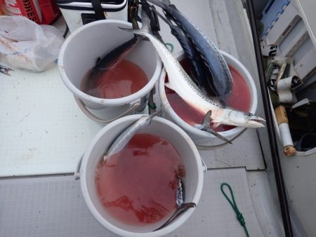 Aquanaut(アクアノート) 釣果