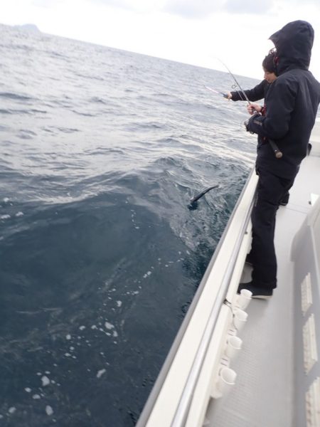 Aquanaut(アクアノート) 釣果