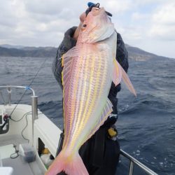 Aquanaut(アクアノート) 釣果