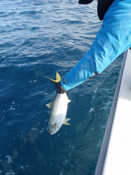 Aquanaut(アクアノート) 釣果