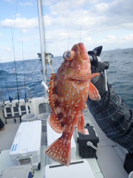 Aquanaut(アクアノート) 釣果