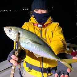 フィシングボートAir(エアー) 釣果